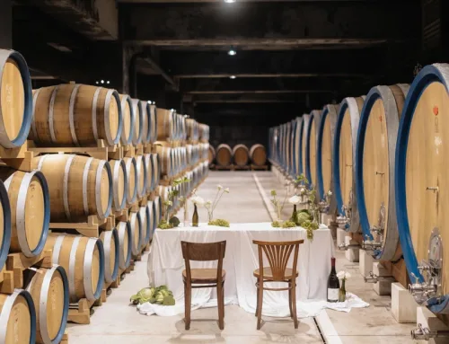 Roxanich: Out Of The Box Wedding Experience In Istria